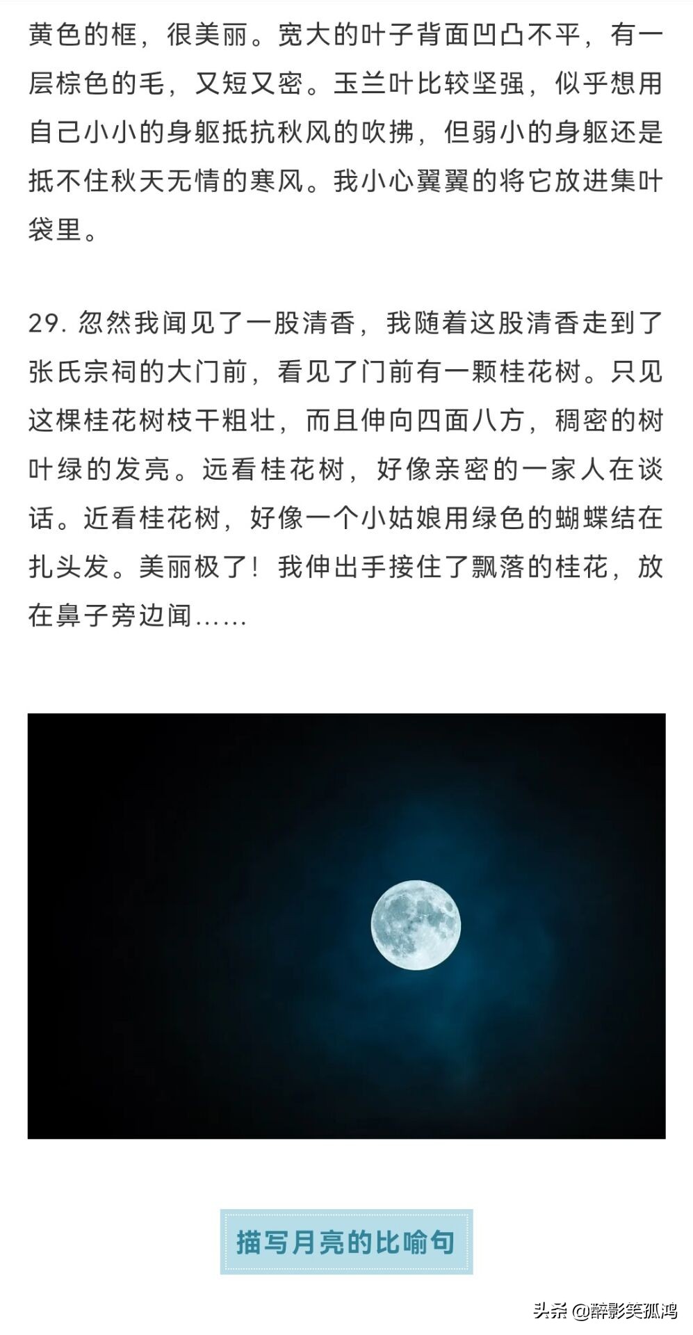 大自然的优美语句摘抄（描写大自然的精彩句子）