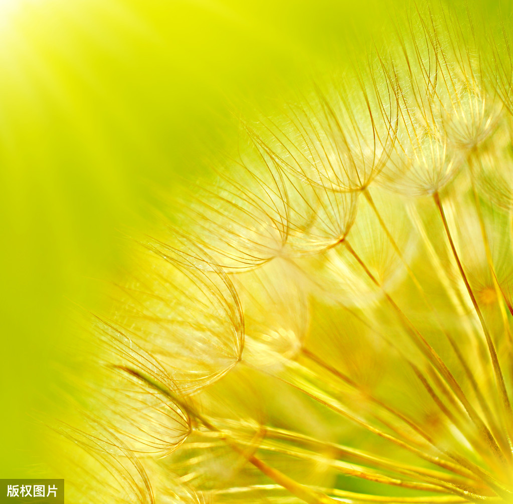 抒情诗句唯美大全（美到窒息的古典诗句）