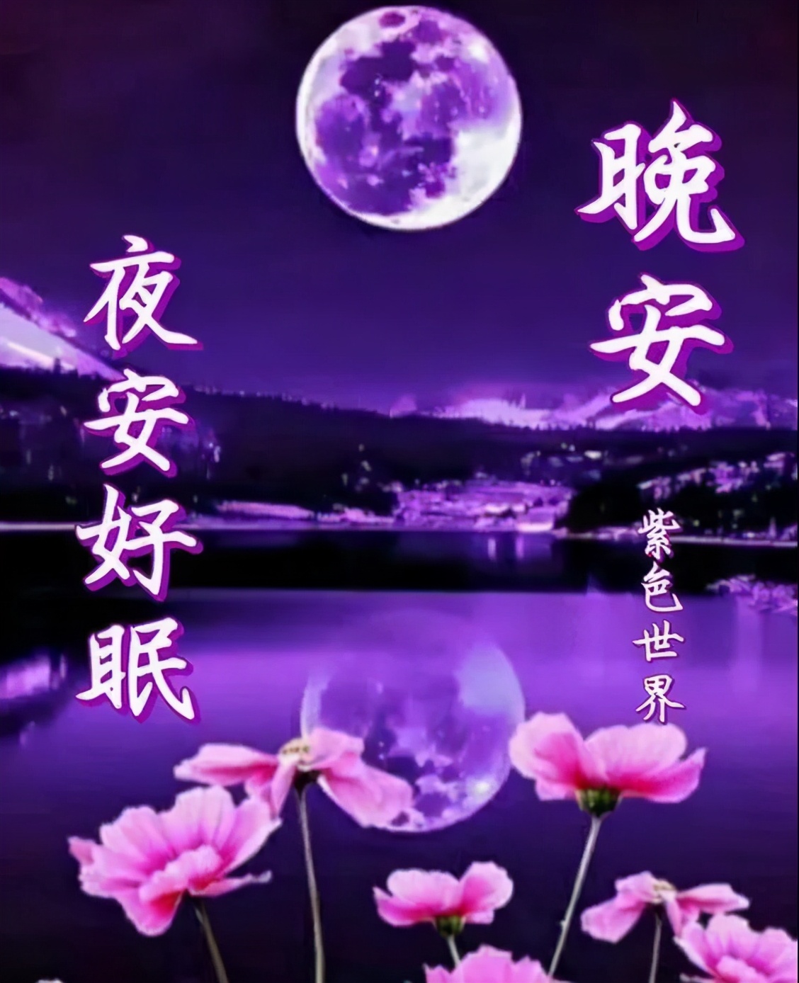 温馨祝福晚安的短信（简单又暖心的晚安心语）