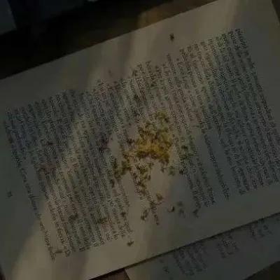 打动人心的情感短句（触动人心的情感短篇）