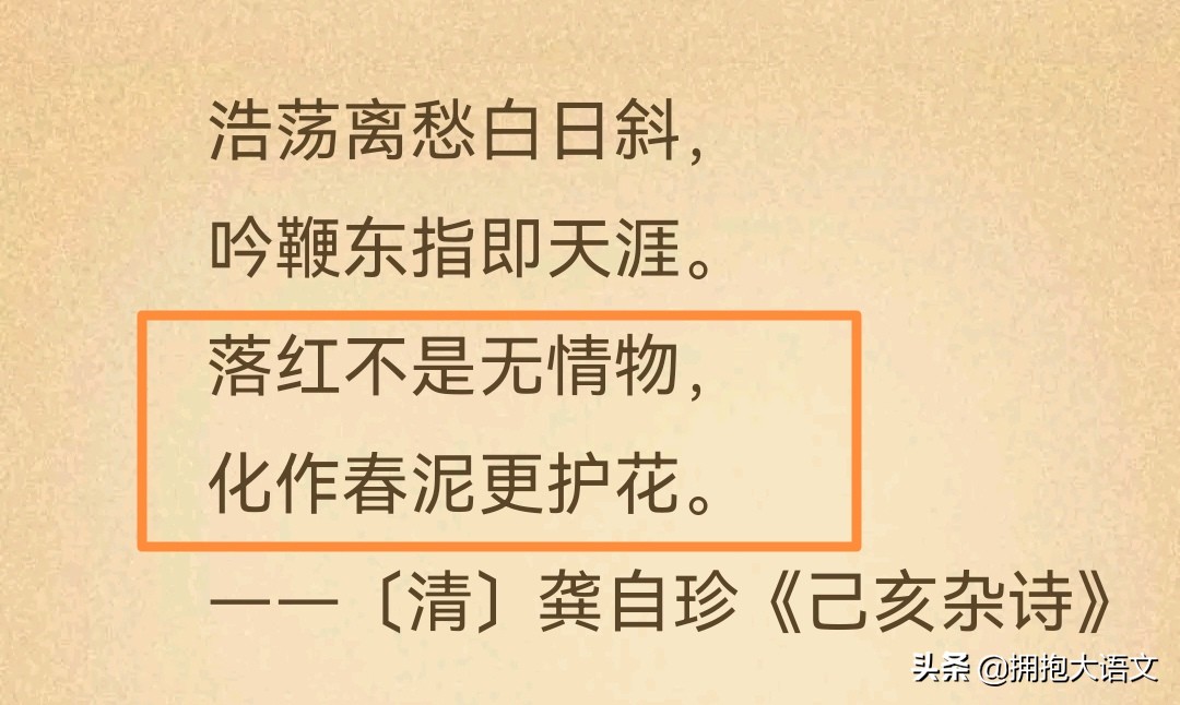 歌颂教师的名言有哪些（歌颂教师的短文分享）