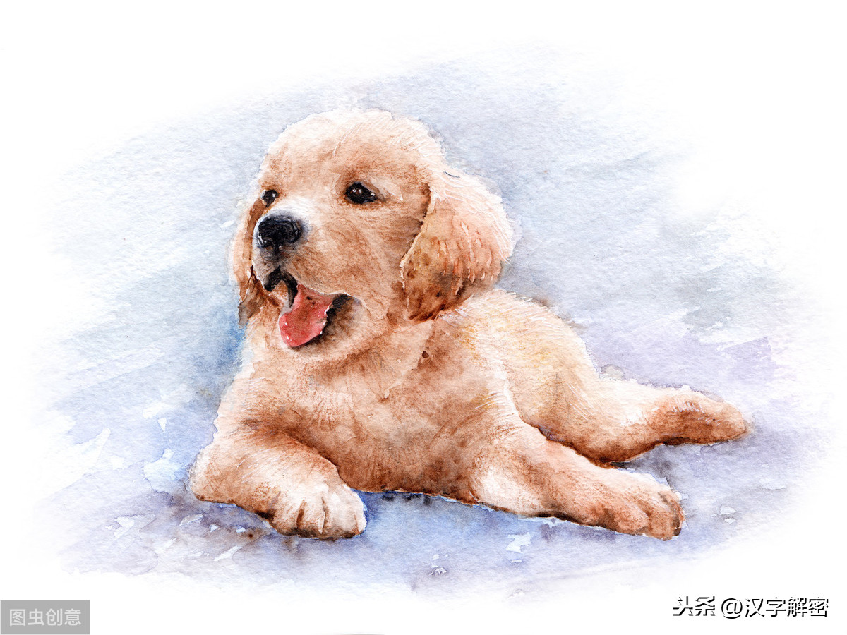 狗开头的成语有哪些（狗字开头的四字成语大全集）