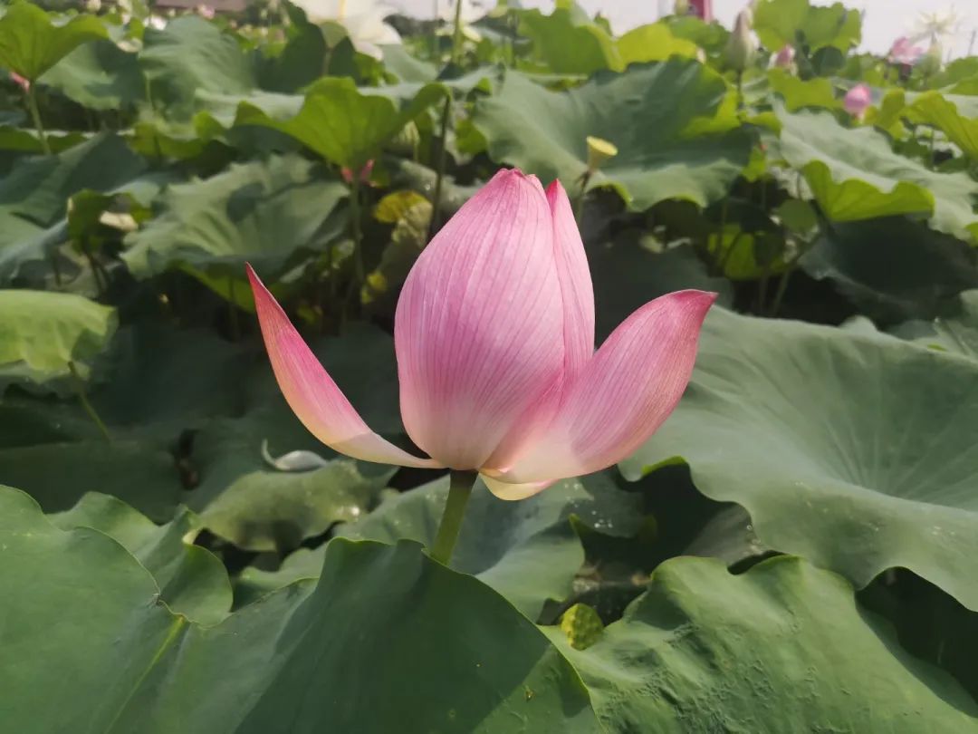 周记300字左右（真实日常周记4篇）