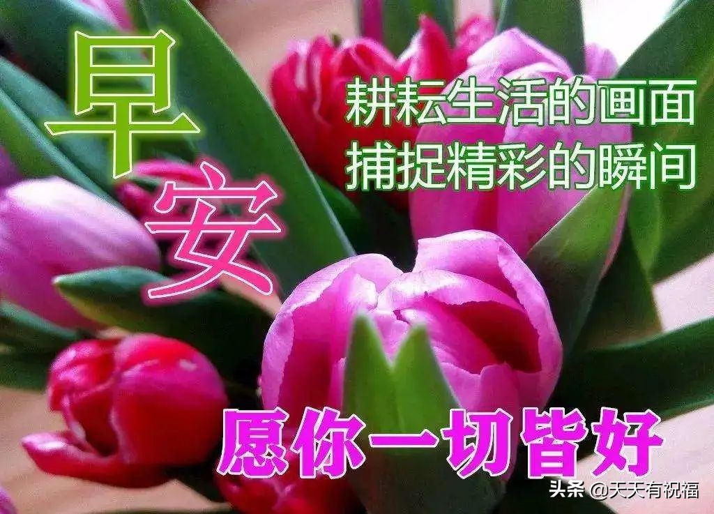 早安朋友圈文案（早安文案简短吸引人）
