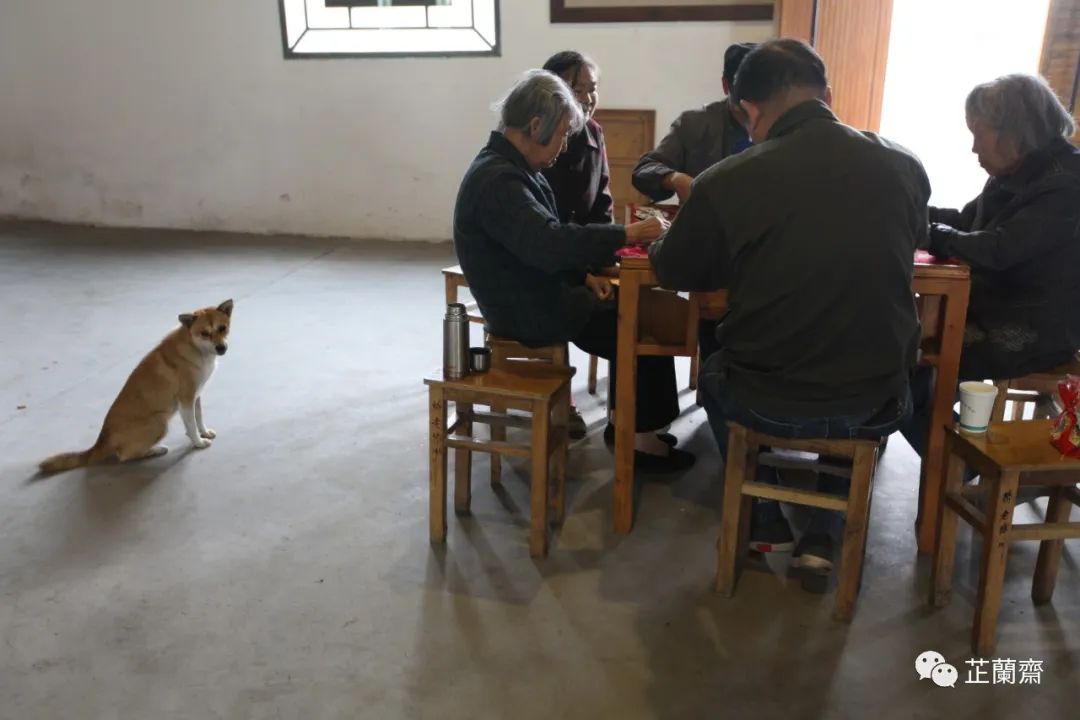 王冕传翻译（王冕文言文翻译及原文拼音）