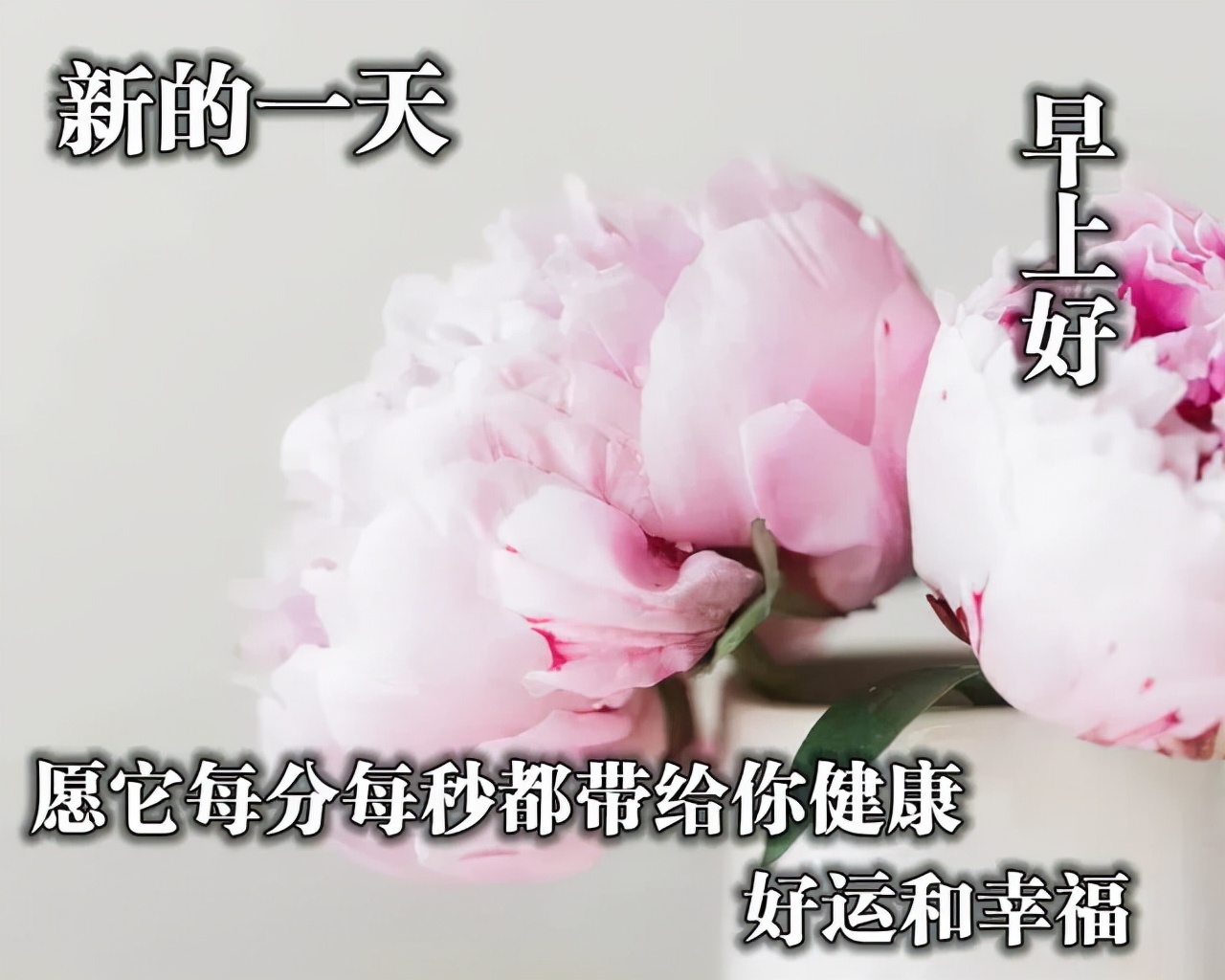 早晨祝福语句好心情（早安心语简短一句话）