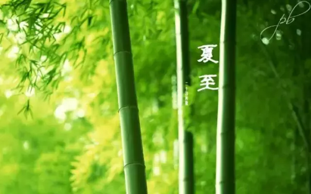 描写夏至的唯美诗句（关于夏至的优美诗句欣赏）