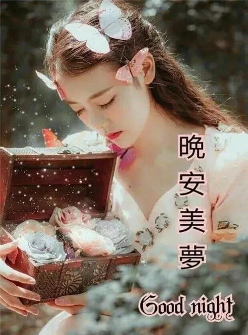 温馨祝福晚安的短信（简单又暖心的晚安心语）