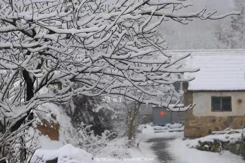 春雪古诗有哪些（春雪的唯美诗句鉴赏）