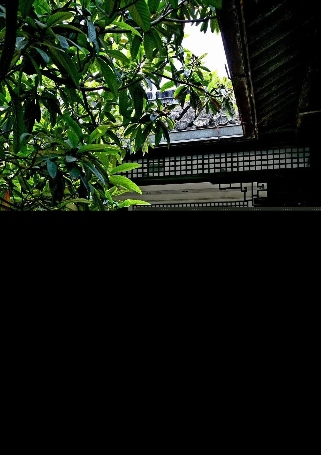 文章体裁有哪几种（文体和体裁的区别）