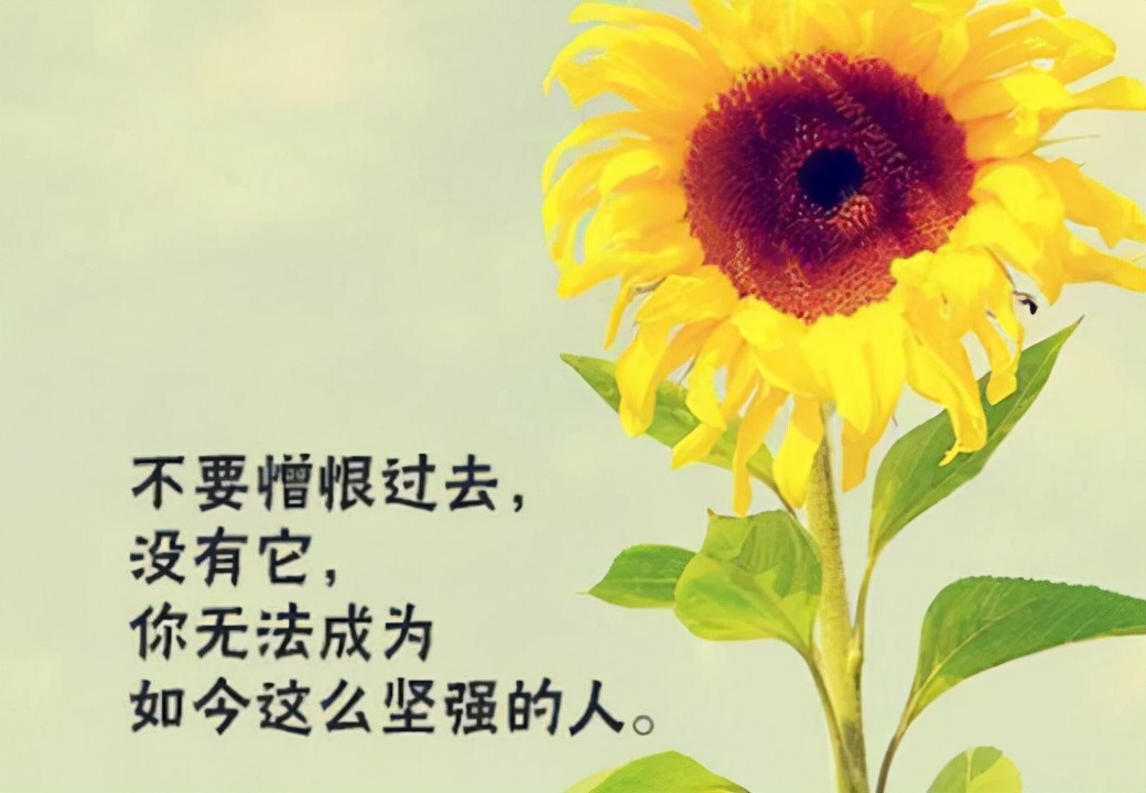正能量短句美好生活（感悟生活的唯美句子）