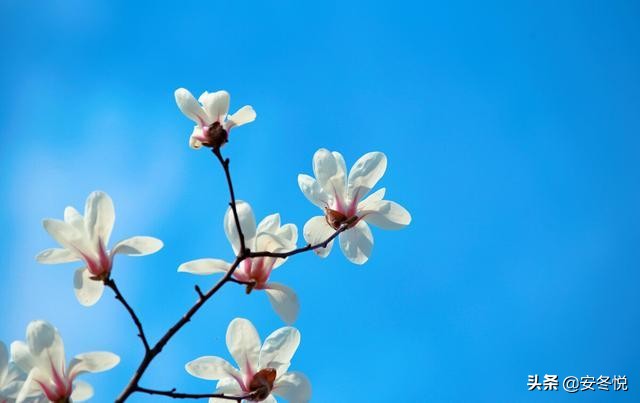 珍惜眼前人的句子（句句深入人心的经典句子）