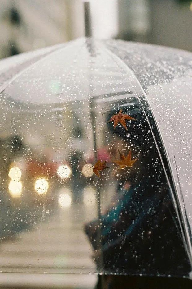 关于雨的唯美句子简短（一句简短的下雨句子）