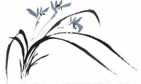 兰花诗句经典名句（描写兰花的诗句古诗）