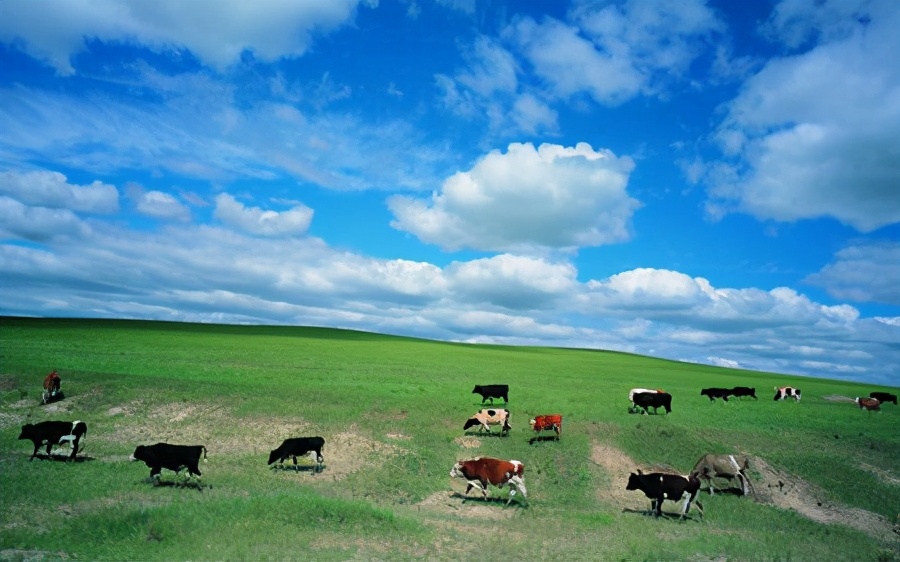 形容风景如画的唯美句子（赞美景色如画的诗句）