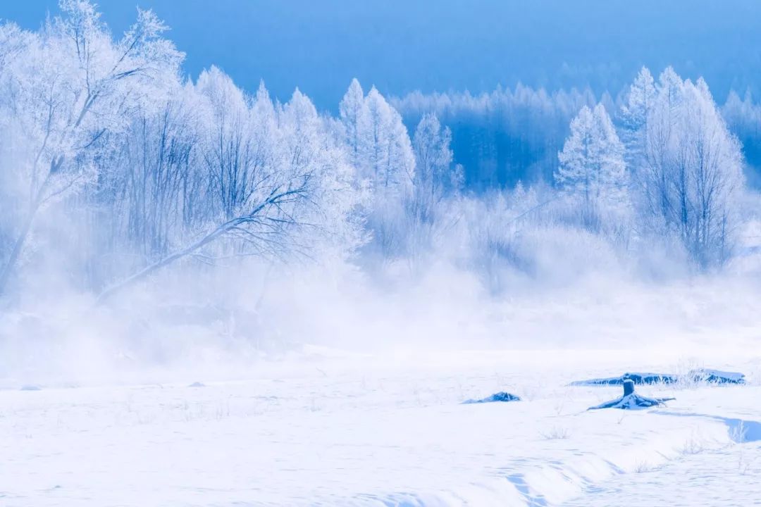 描写美丽雪景的诗句有哪些（赞美雪的诗句唯美）