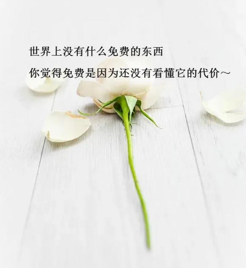 心情好的句子发朋友圈（心情好的文案短句干净）