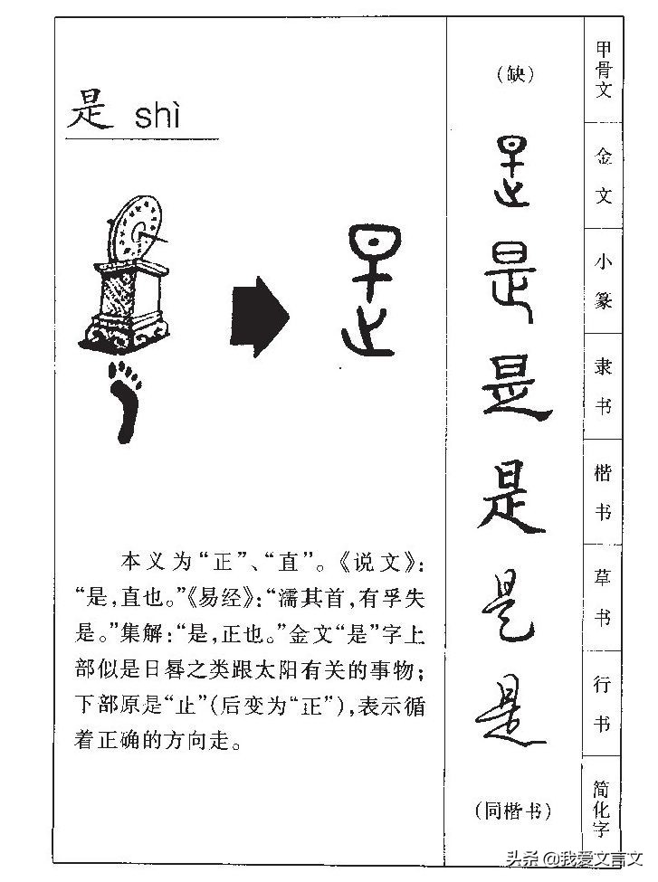 烛邹亡鸟文言文翻译（烛邹亡鸟的寓意概括）