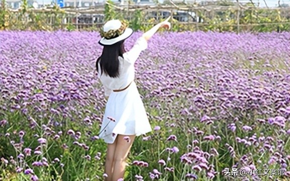 女生签名唯美有气质的（独一无二简短个性签名）