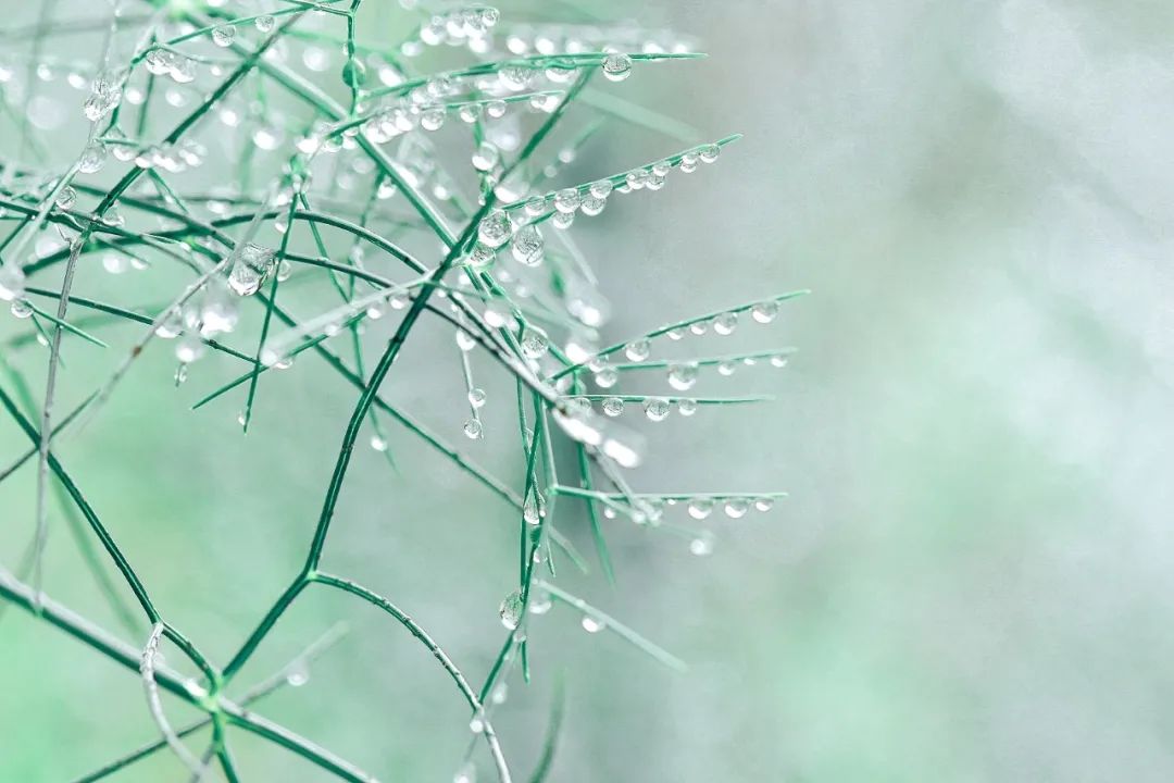 关于雨的诗有哪些（描写雨景的古诗词欣赏）