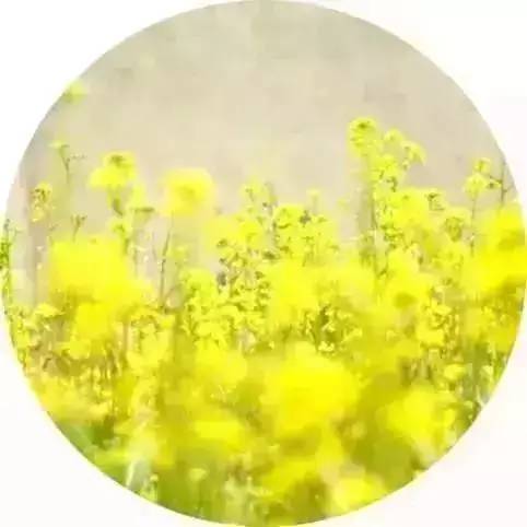 关于雨水节气的诗词（赞美雨水的诗词大全）