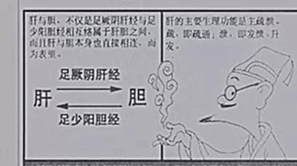 肝胆相照是什么意思（肝胆相照的中医解释）