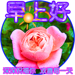 祝你幸福的句子简短（感到幸福温馨的句子）