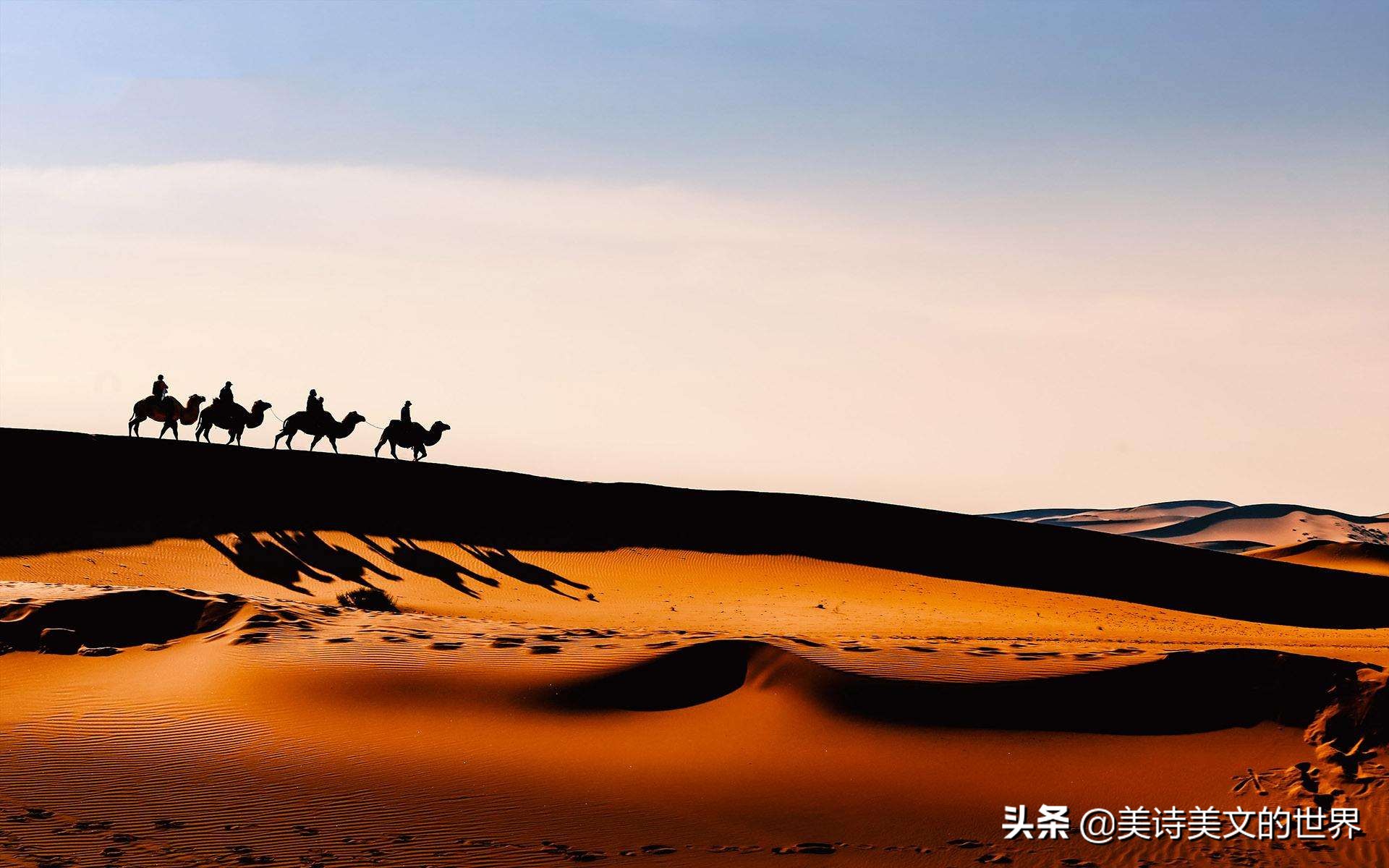 雪尽马蹄轻全诗（古代赞美马的诗句）