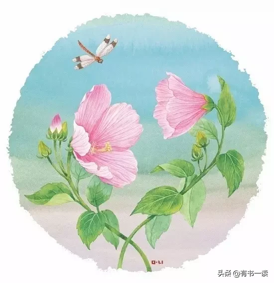席慕容的诗歌有哪些（席慕容诗歌精选）