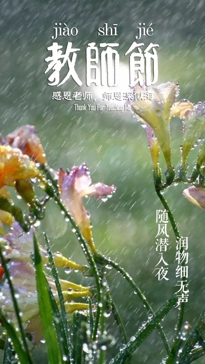 写老师的诗句有什么（赞美老师的诗句赏析）