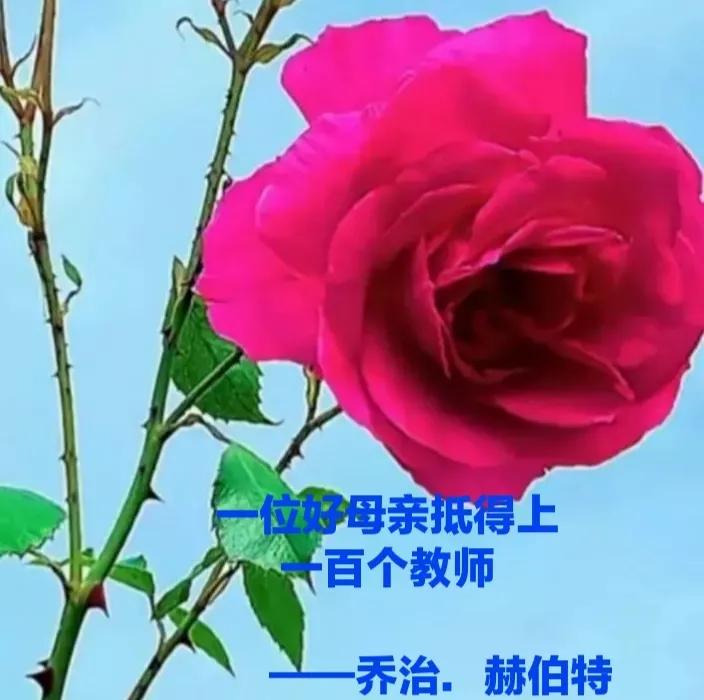 赞美母亲的句子简短（表达感恩母亲的诗句）
