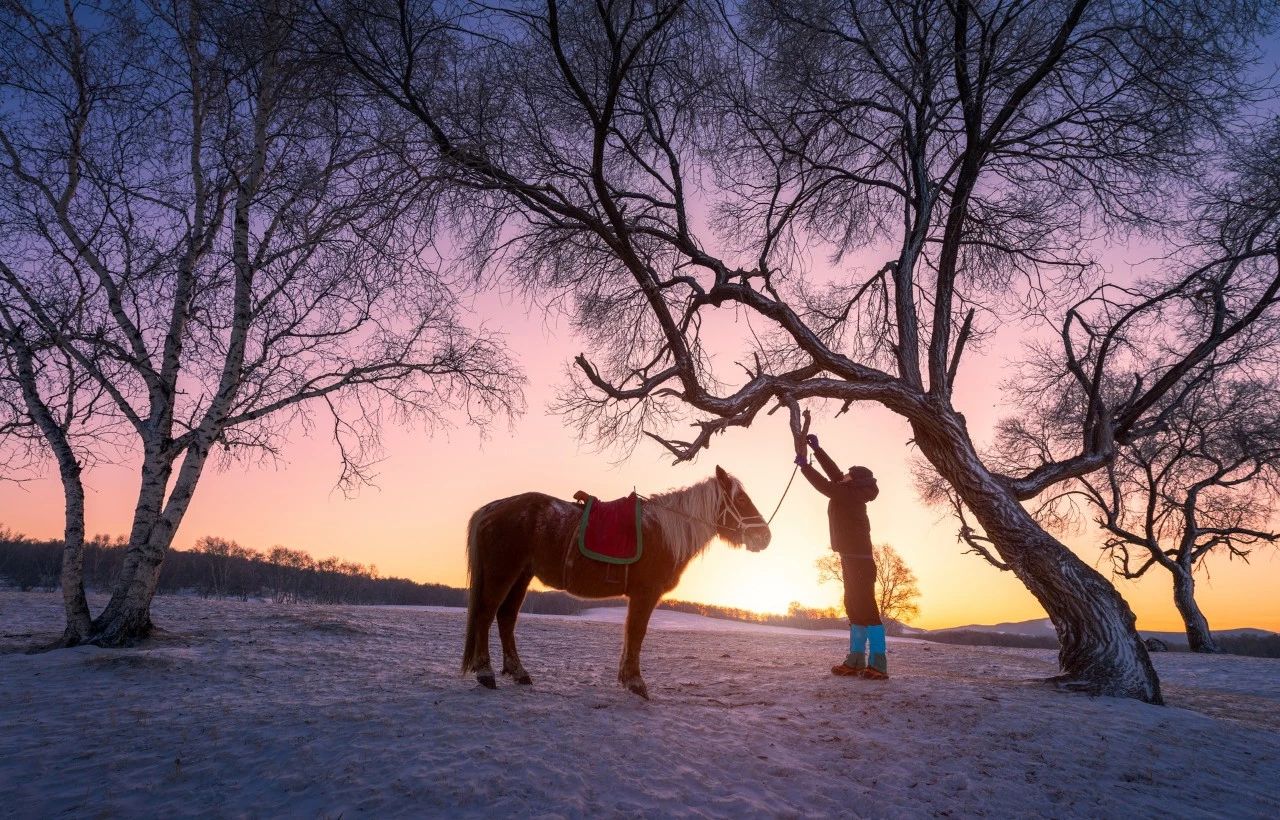 关于冰雪的诗词歌赋（以冰雪为主题的诗词欣赏）