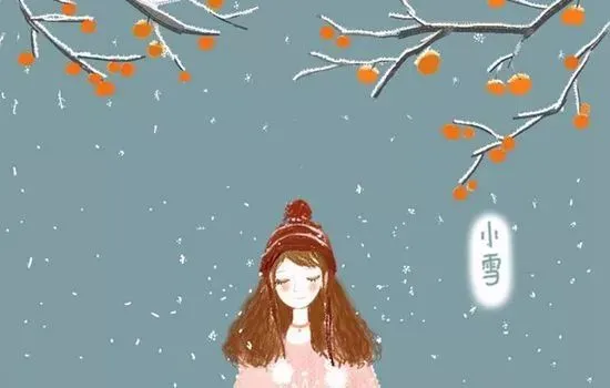 小雪节气祝福(小雪节气说说心情)