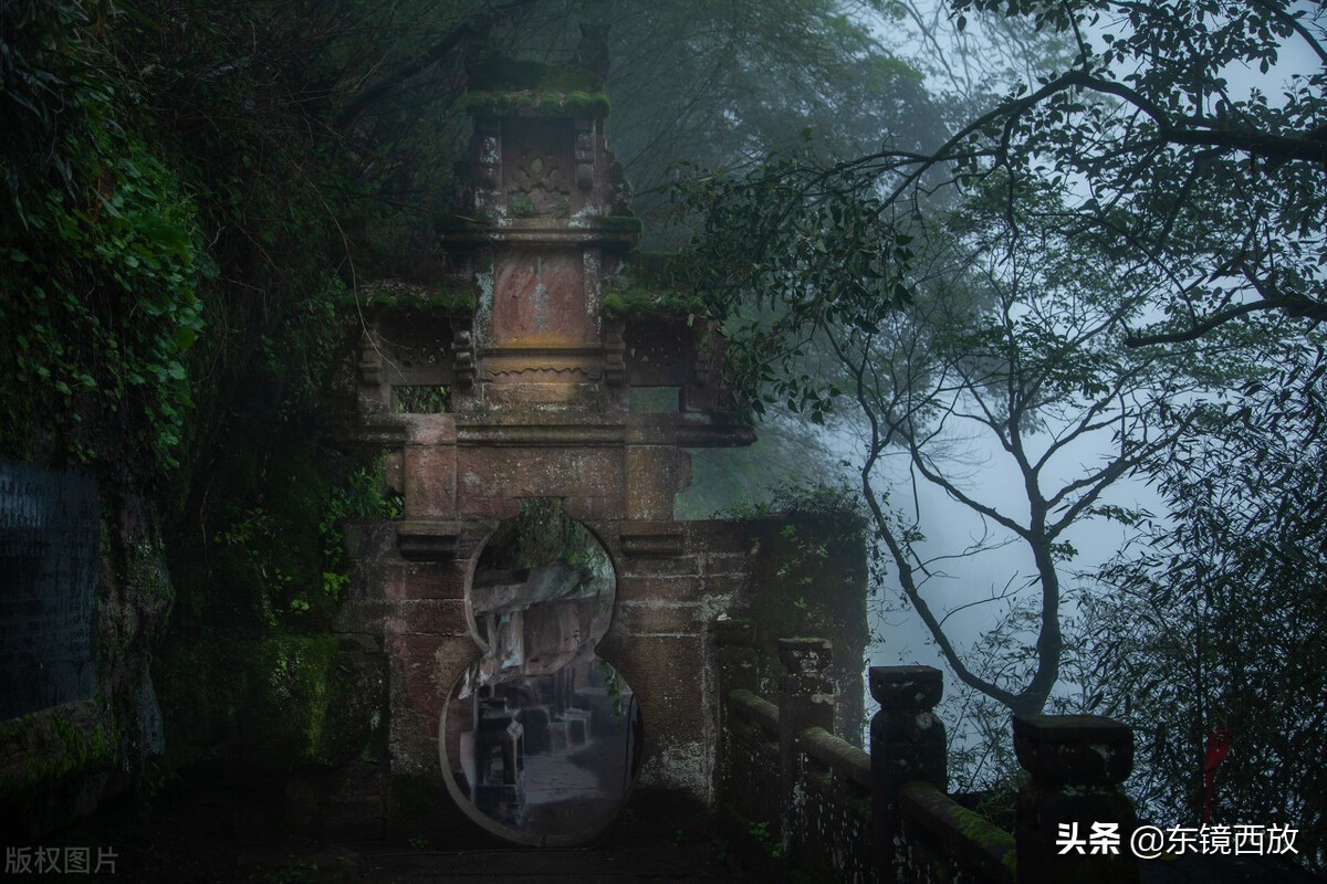 悟空传经典语录句子（悟空传片段摘抄）
