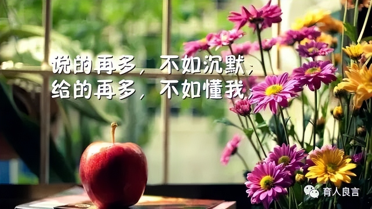 哲理句子人生感悟（关于感悟人生的句子）