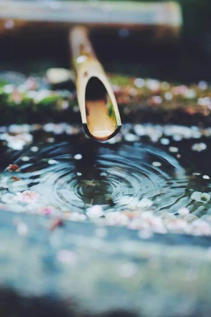雨水节气的诗句有哪些（雨水的诗句古诗大全）