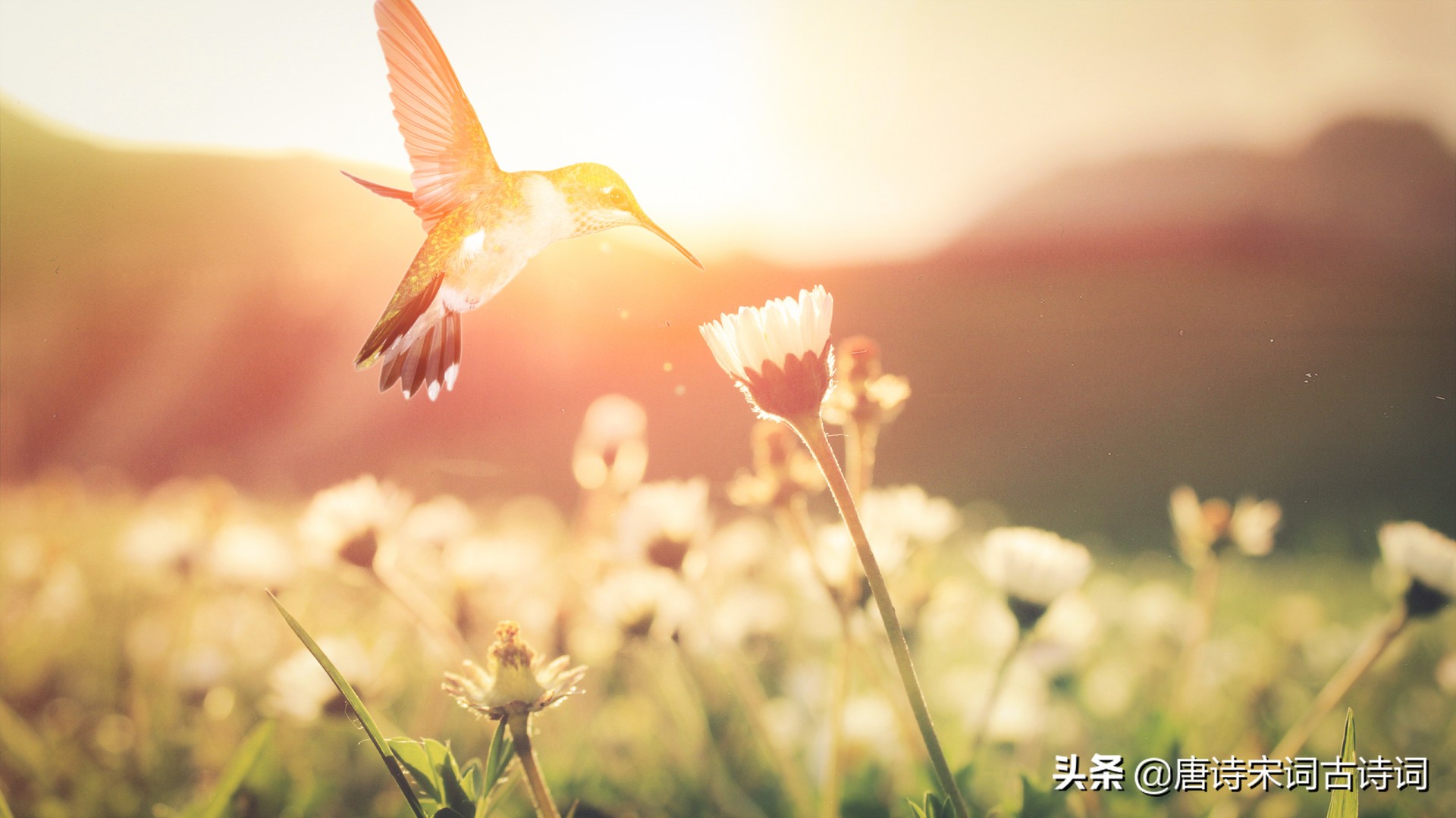 描写季节的诗句有哪些（有关四个季节的古诗）