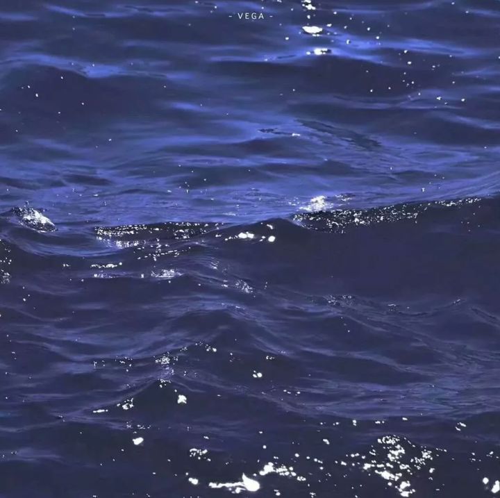 关于海的唯美句子(看大海感悟人生的句子)