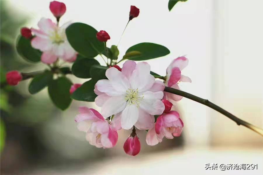 绕船月明江水寒（绕船月明江水寒意境赏析）