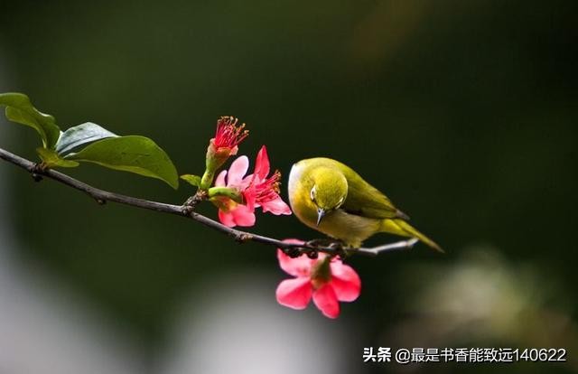 带颜色的诗句有哪些（含有表示颜色的词的诗句）