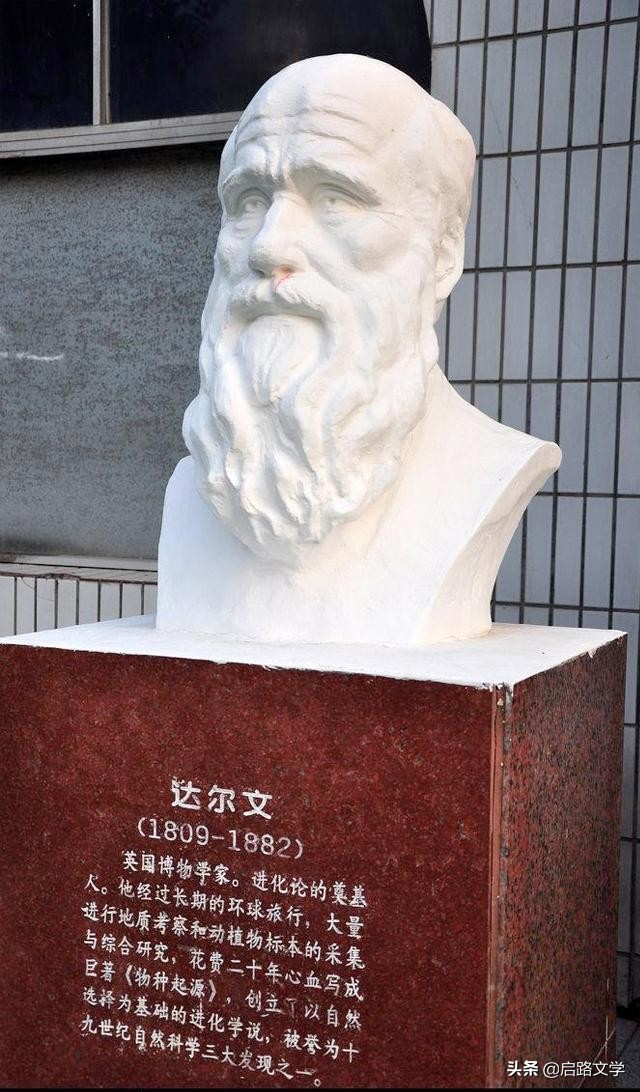 人生名句经典励志（经典人生格言励志金句）