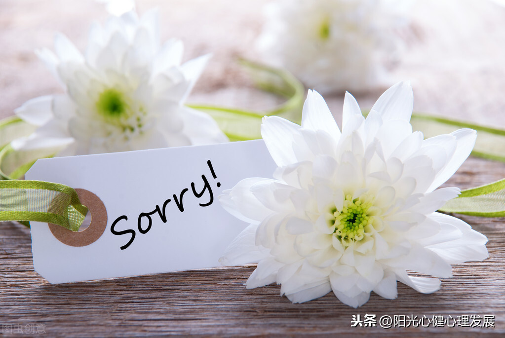 道歉的重要性议论文（小学作文道歉的重要性）