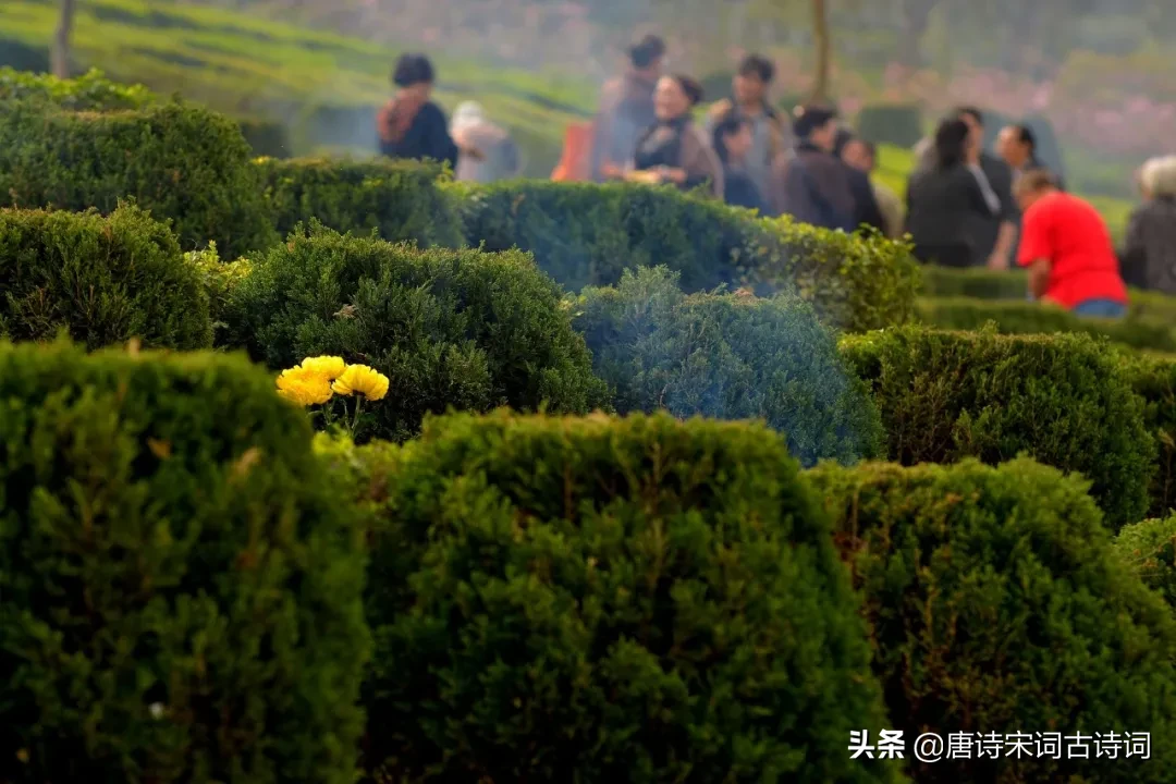 寒食古诗意思译文（寒食古诗的注释和译文赏析）