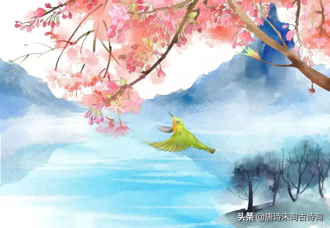 描写桃花的诗词名句（赞美桃花的名言佳句）