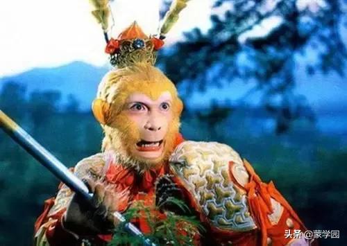 西游记精彩片段摘抄（西游记值得摘抄的段落）
