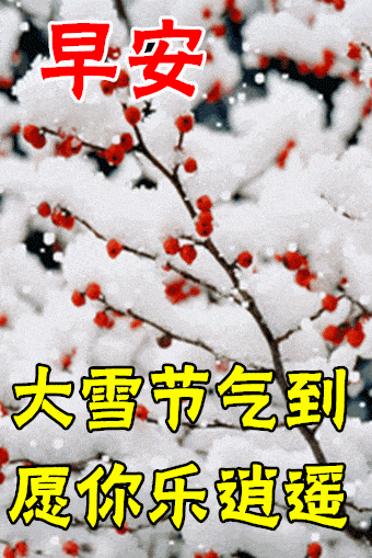 大雪节气的祝福语（雪的吉祥语录）