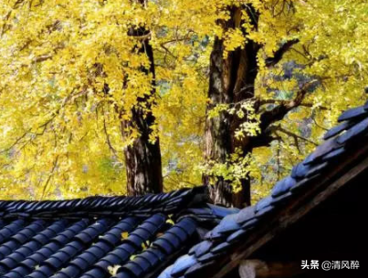 心烦的句子说说（说不出的压抑和心累）