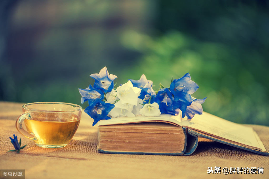 时光静好是什么意思（岁月静好诗句分享）