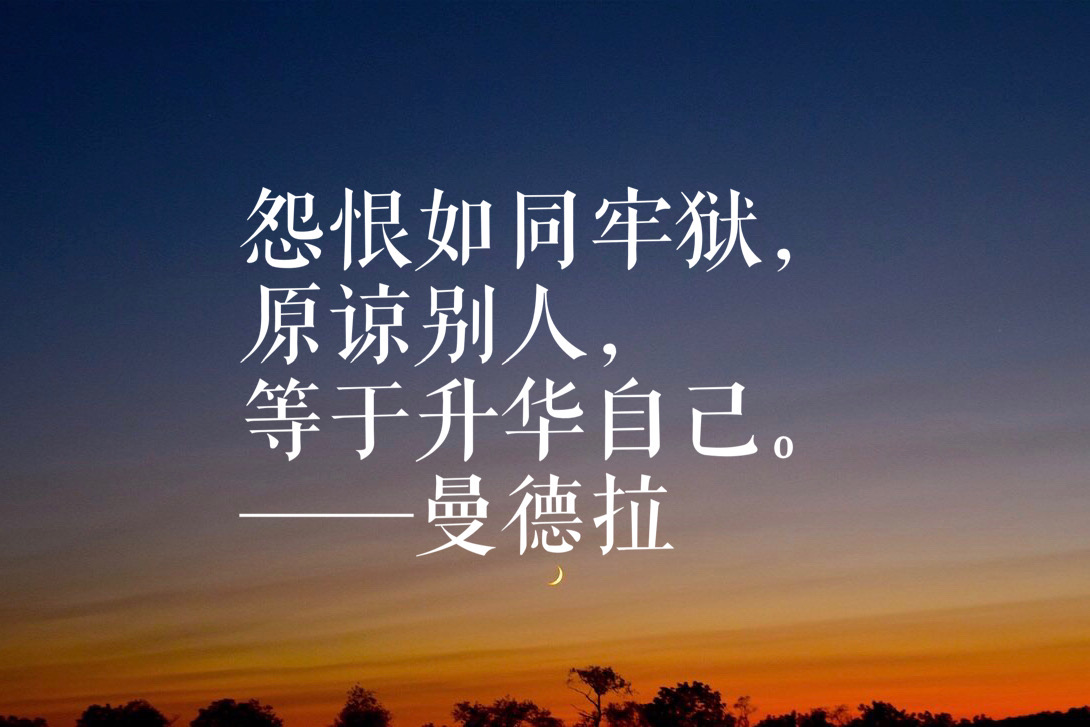 曼德拉语录（漫漫自由路经典名句）