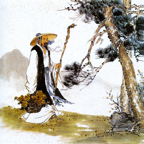 采菊东篱下悠然见南山的意思（赏词采菊东篱下中采菊的含义）